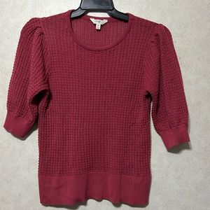 Terra & Sky ladies plus size 0X sweater.